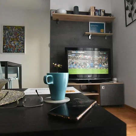 Point Apartment Vrnjacka Banja