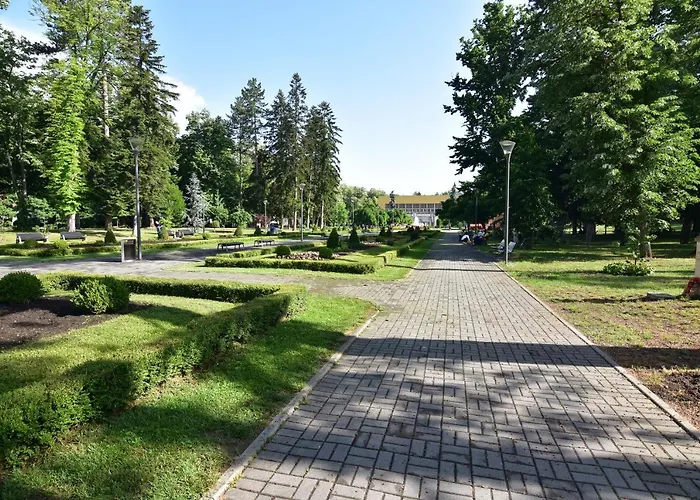 Point * Vrnjačka Banja