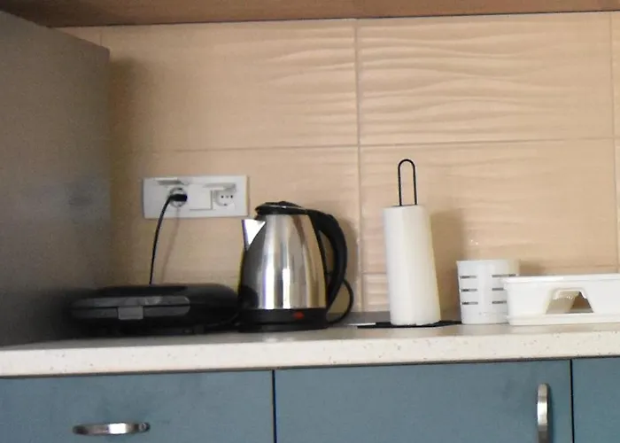 公寓 Point Vrnjačka Banja